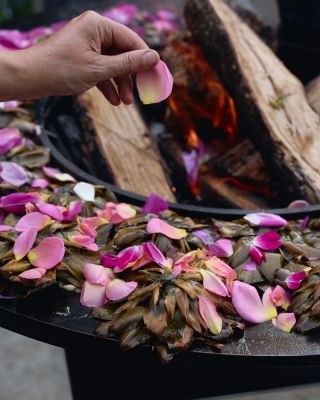 Jedlé kvety – tajomstvo vizuálnej aj chuťovej dokonalosti!🌷🌺 Chcete svoje letné grilovačky posunúť o level vyššie? Jedlé...